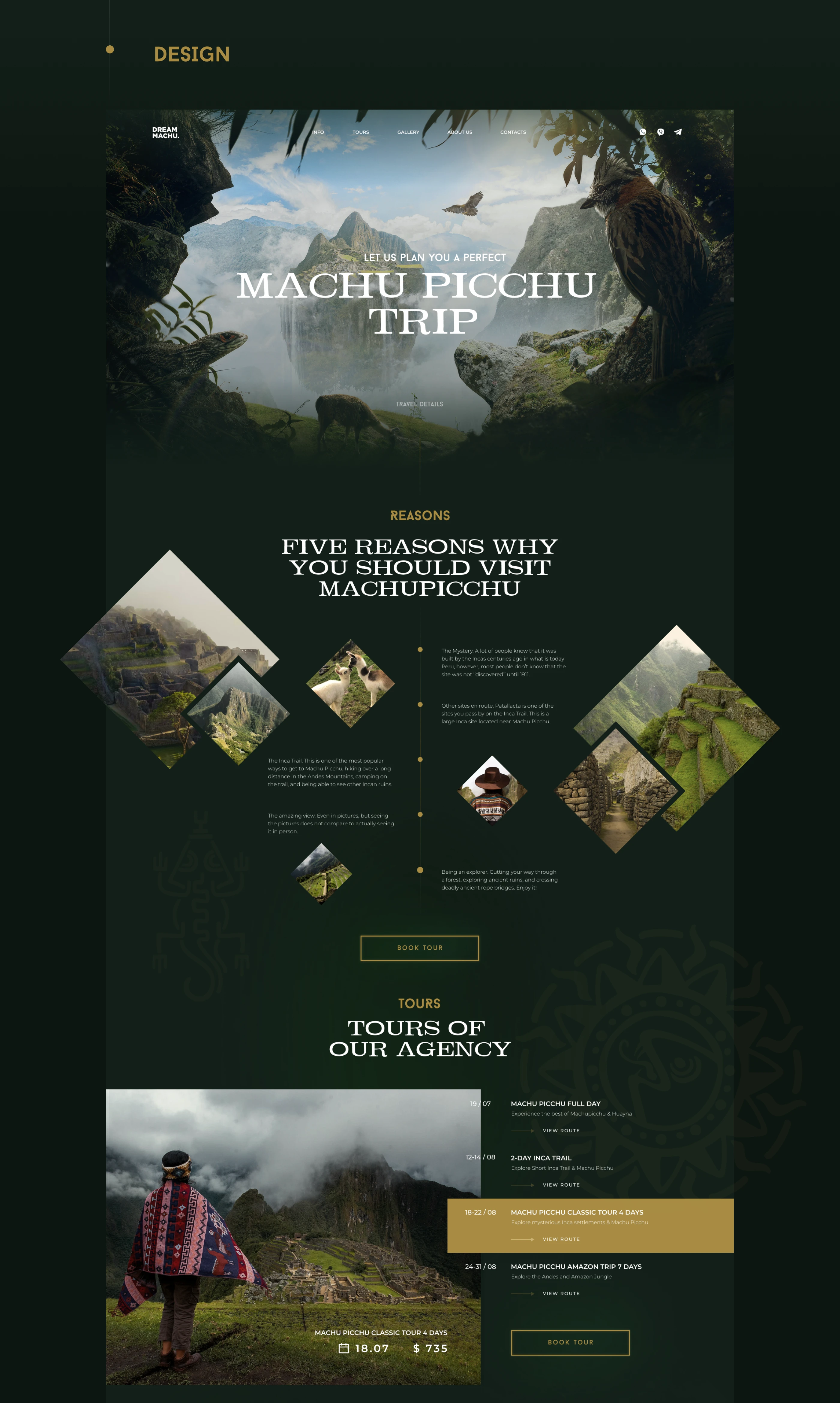 Rainforest world reference