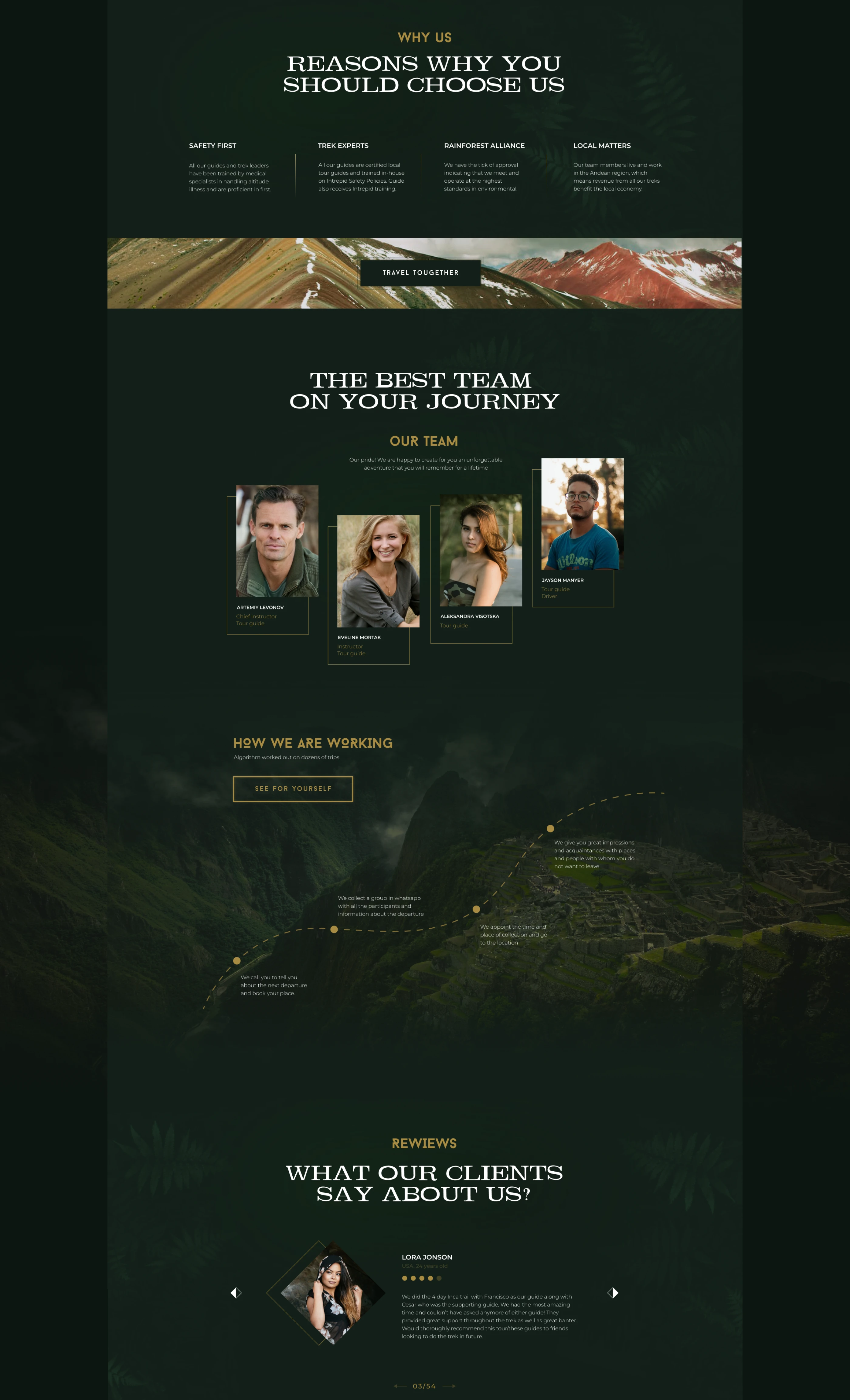 Rainforest world reference