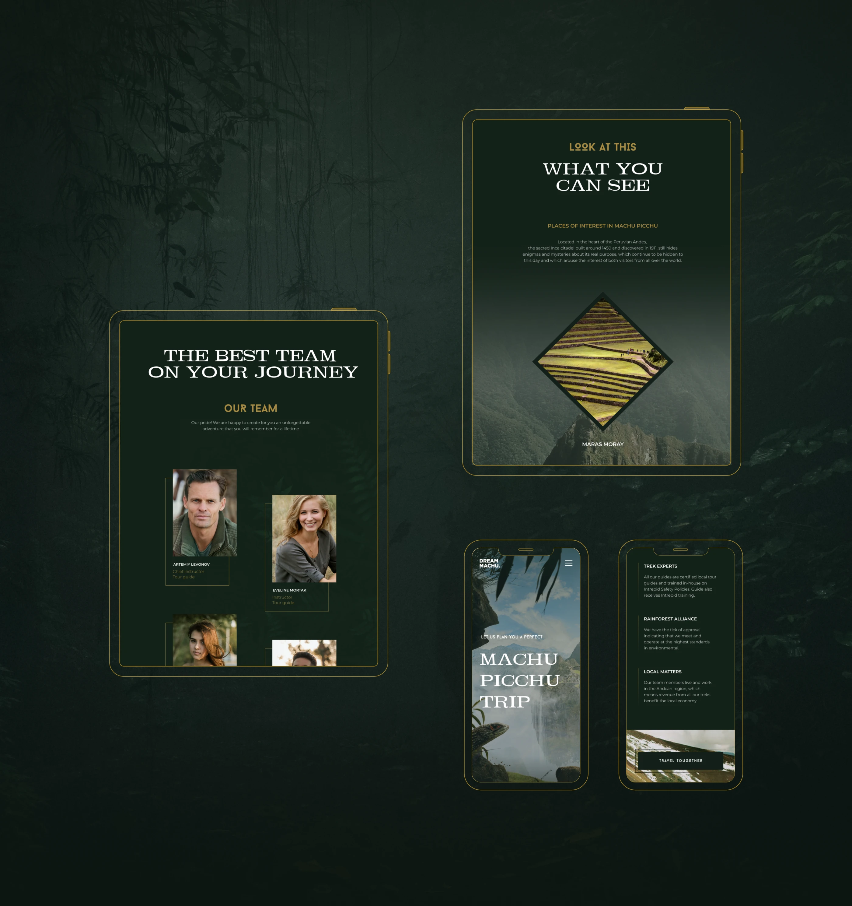 Rainforest world reference